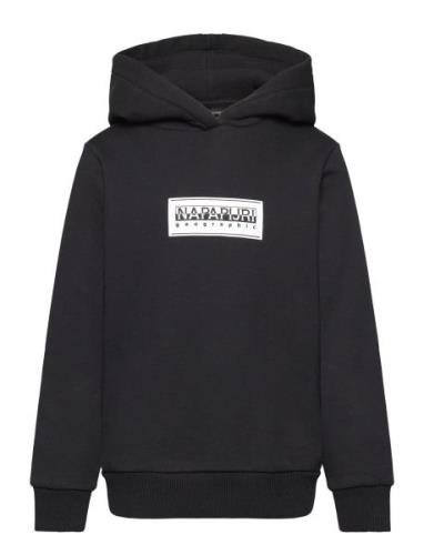 Chamois Hoodie Tops Sweat-shirts & Hoodies Hoodies Black Napapijri