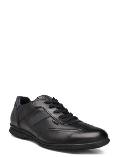 Vernon Lave Sneakers Black Lloyd