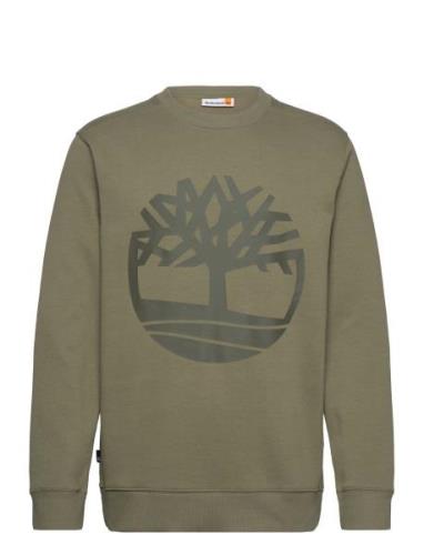 Kennebec River Tree Logo Crew Neck Sweatshirt Cassel Earth/Grape Leaf ...