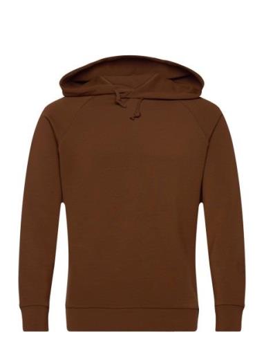 Abel Hood Sweat Tops Sweat-shirts & Hoodies Hoodies Brown Mos Mosh Gal...