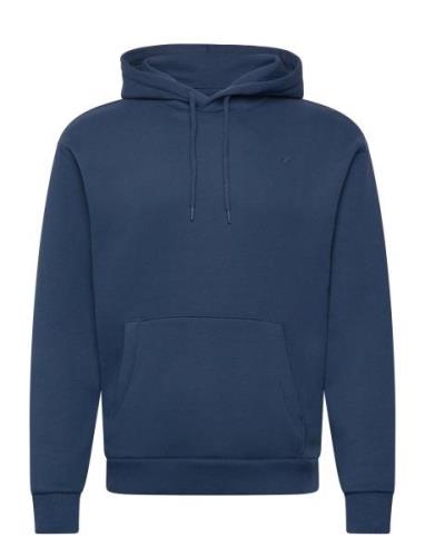 Hco. Guys Sweatshirts Tops Sweat-shirts & Hoodies Hoodies Navy Hollist...