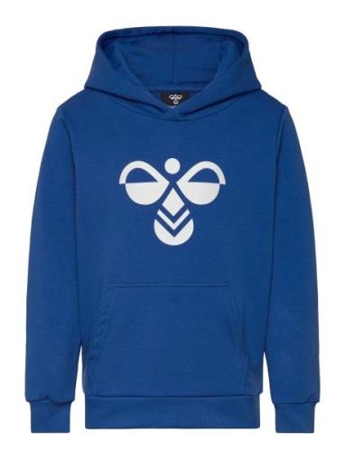 Hmlcuatro Hoodie Sport Sweat-shirts & Hoodies Hoodies Blue Hummel