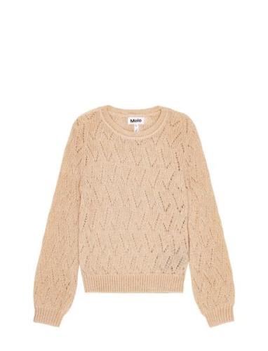 Ginger Tops Knitwear Pullovers Beige Molo