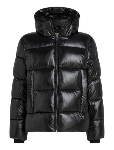 Hooded Quilt Puffer Mw Gloss Ullfrakk Frakk Black Calvin Klein