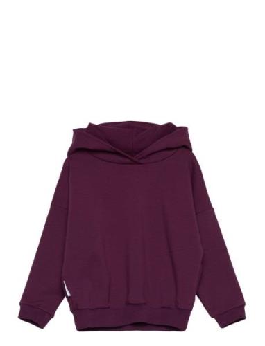 College Hoodie Tops Sweat-shirts & Hoodies Hoodies Purple Gugguu