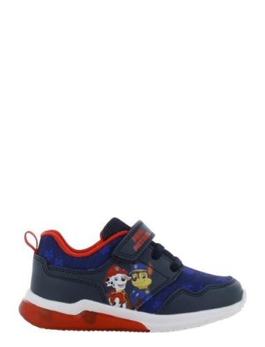 Paw Patrol Sneaker Lave Sneakers Blue Paw Patrol