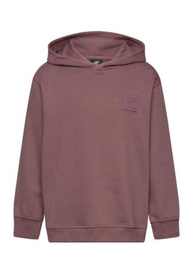 Hmlclean Hoodie Sport Sweat-shirts & Hoodies Hoodies Pink Hummel