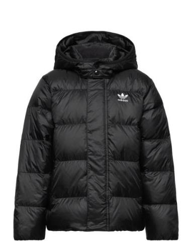 Down Jacket Elo Fôret Jakke Black Adidas Originals