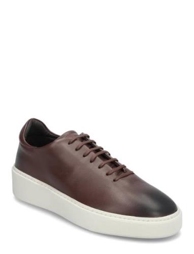 Elvit Lave Sneakers Brown Tiger Of Sweden