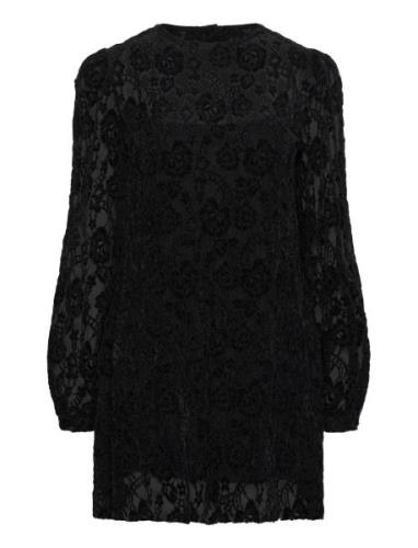 Dablon Lace Black Mini Dress Kort Kjole Black ALOHAS