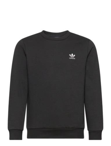 Crew Sport Sweat-shirts & Hoodies Sweat-shirts Black Adidas Originals