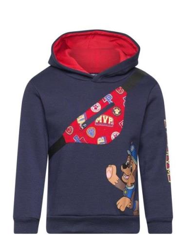 Sweats Tops Sweat-shirts & Hoodies Hoodies Navy Paw Patrol