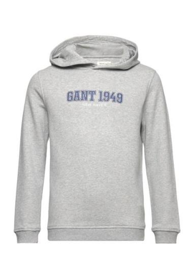 Gant 1949 Hoodie Tops Sweat-shirts & Hoodies Hoodies Grey GANT