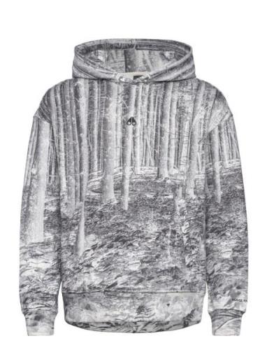 Oak Hoodie Tops Sweat-shirts & Hoodies Hoodies Grey Moose Knuckles