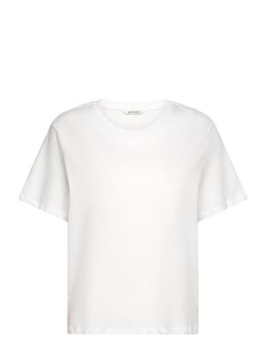 Round Neck Tshirt Tops T-shirts & Tops Short-sleeved White Monki