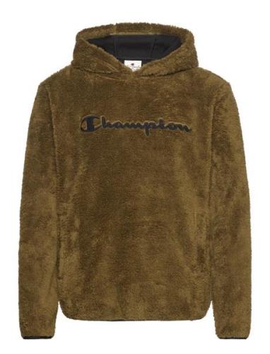 Hooded Top Tops Sweat-shirts & Hoodies Hoodies Khaki Green Champion