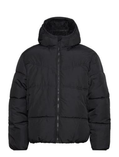 Hco. Guys Outerwear Fôret Jakke Black Hollister