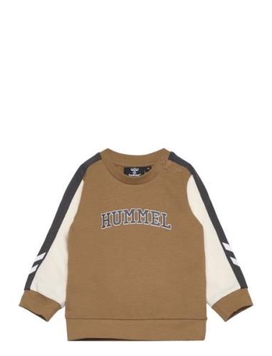 Hmllucca Sweatshirt Sport Sweat-shirts & Hoodies Sweat-shirts Brown Hu...