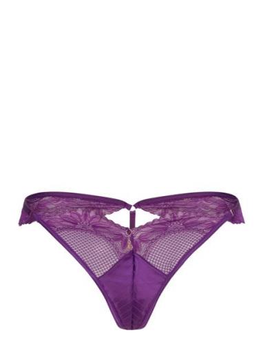 Belladonna Hl T Str Stringtruse Undertøy Purple Hunkemöller