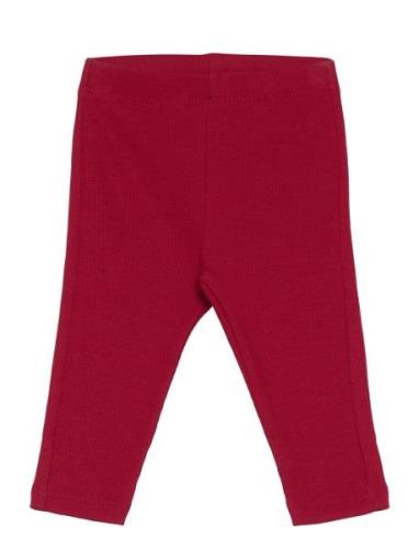 Leggings Rib Newborn Bottoms Leggings Burgundy Lindex