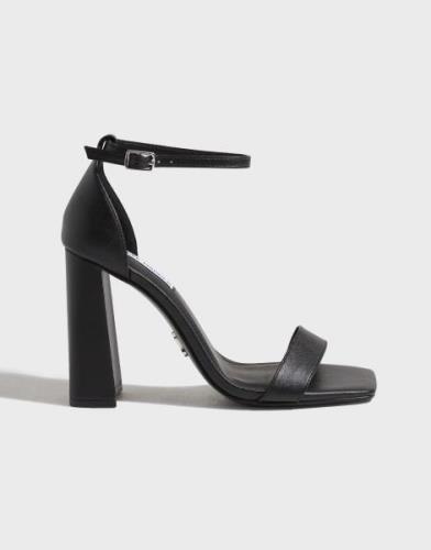 Steve Madden - Svart - Airy Sandal