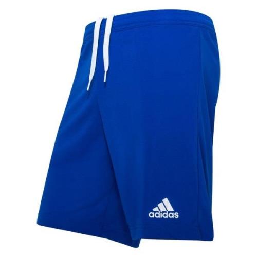 adidas Shorts Entrada 22 - Blå