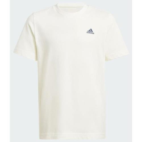 Adidas Graphic Tee Kids