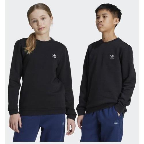 Adidas Original Crew Sweatshirt Kids