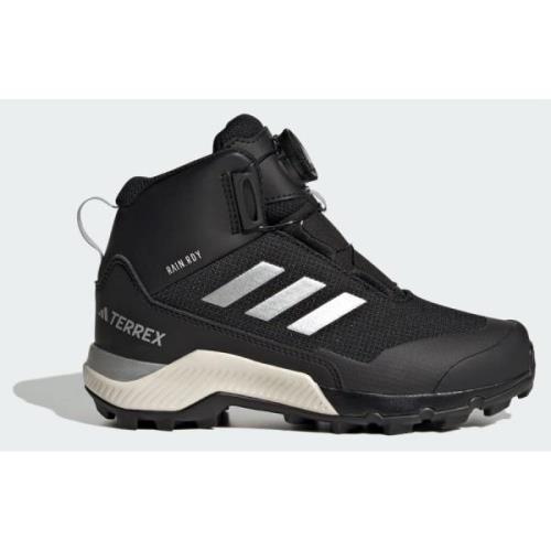 Adidas Terrex Winter Mid BOA RAIN.RDY Hiking Shoes