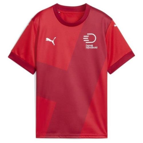 DHF Home Jersey Jr PUMA Red-Dark Cherry