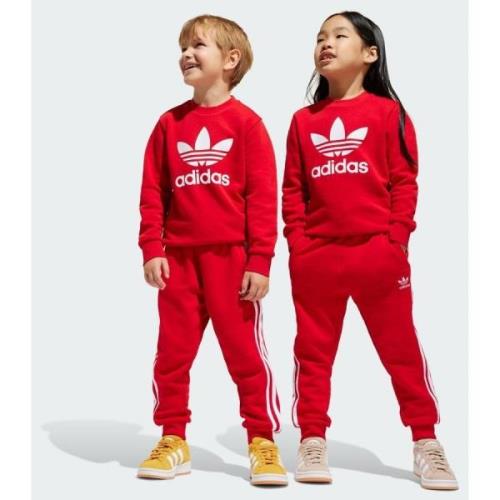 Adidas Original Adicolor Crew Set Kids